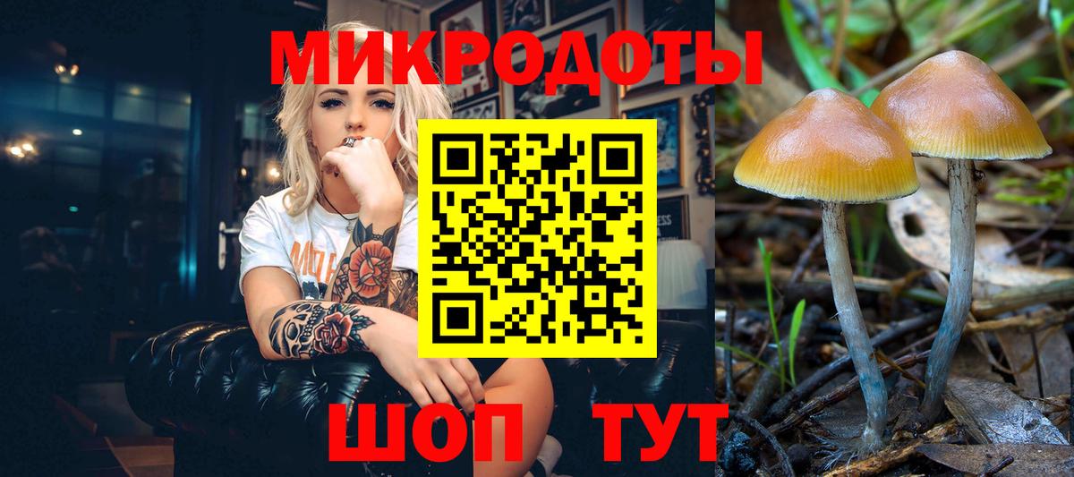 Галлюциногенные грибы Psilocybine cubensis  Вход с VPN  Кимовск 